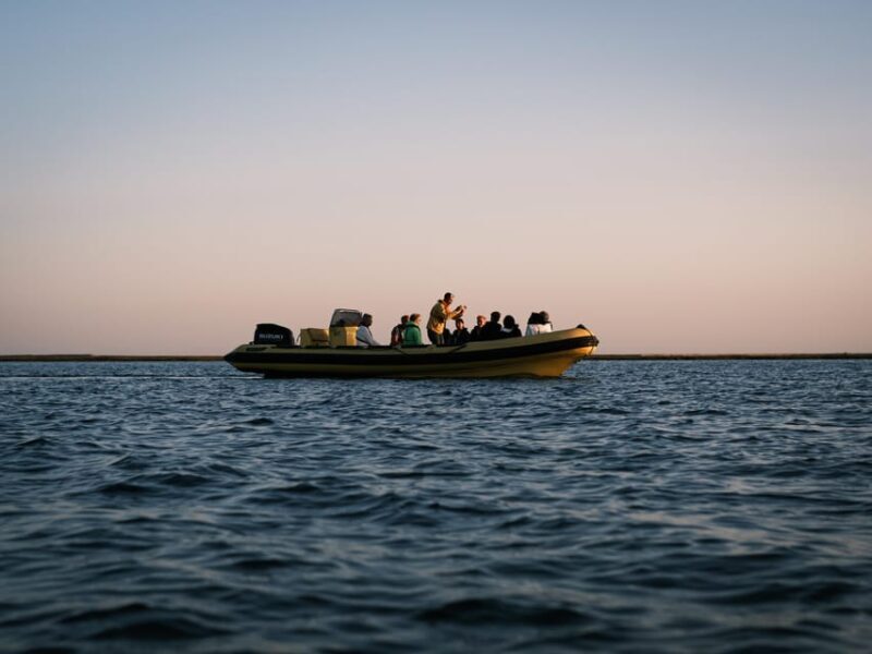 From Boat to Table: Ria Formosa Sunset and Tasting - Introduction