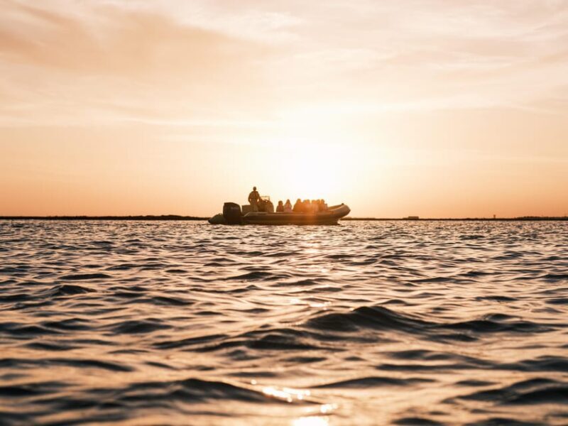 From Boat to Table: Ria Formosa Sunset and Tasting - Key Points