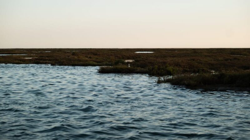 From Boat to Table: Ria Formosa Sunset and Tasting - Why the Value Works