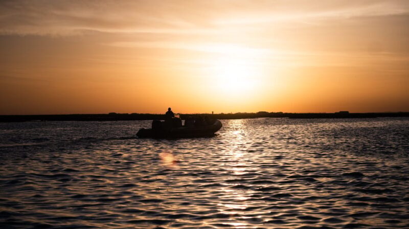 From Boat to Table: Ria Formosa Sunset and Tasting - Final Thoughts