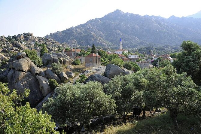 From Bodrum to Didyma, Priene, Miletus and Bafa Lake Private Full-Day Tour - Pickup Information