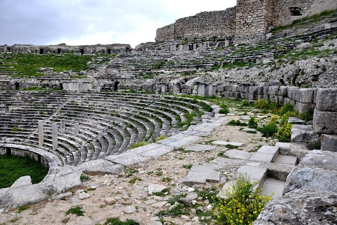 From Bodrum to Didyma, Priene, Miletus and Bafa Lake Private Full-Day Tour - Pricing and Cancellation Policy