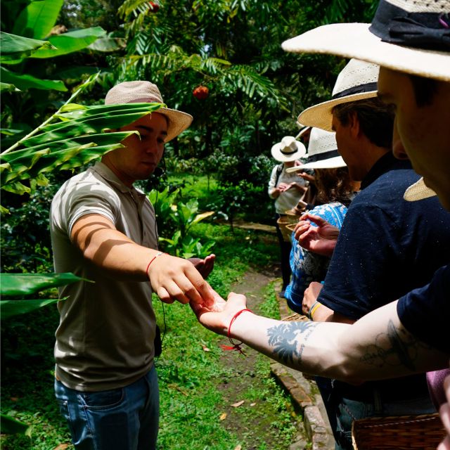 From Bogotá: Coffee Farm and Tequendama Falls Tour - Key Points