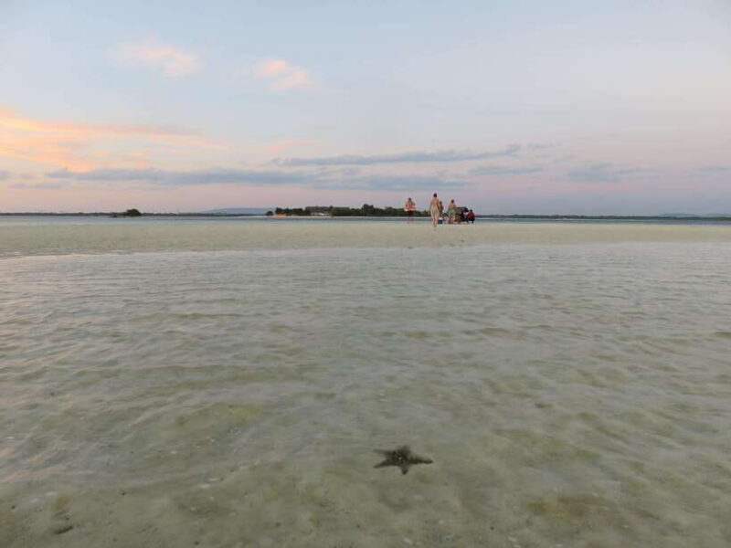 From Bohol: Island Sunset Watching and Snorkeling Tour - Key Points