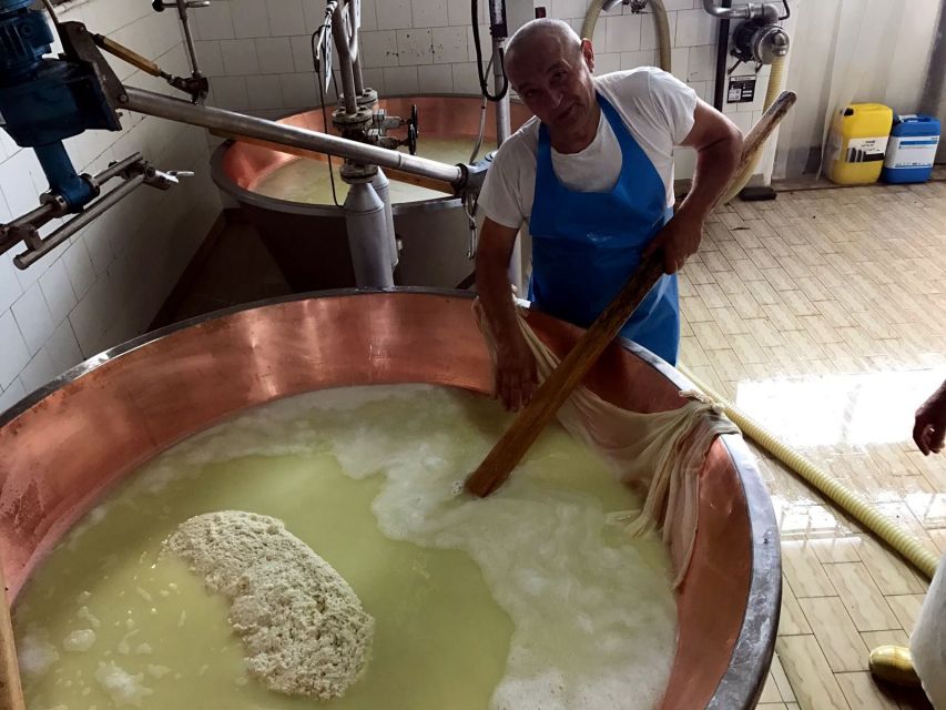 From Bologna: Emilia Excellence Food Tour - Explore the Emilian Cuisine