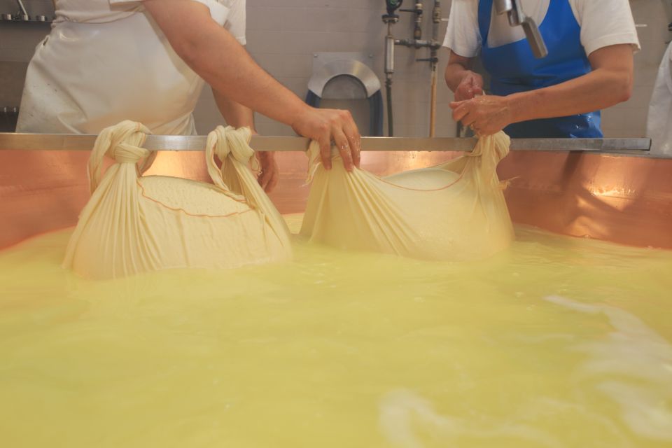 From Bologna: Emilia Excellence Food Tour - Dairy Factory and Vinegar