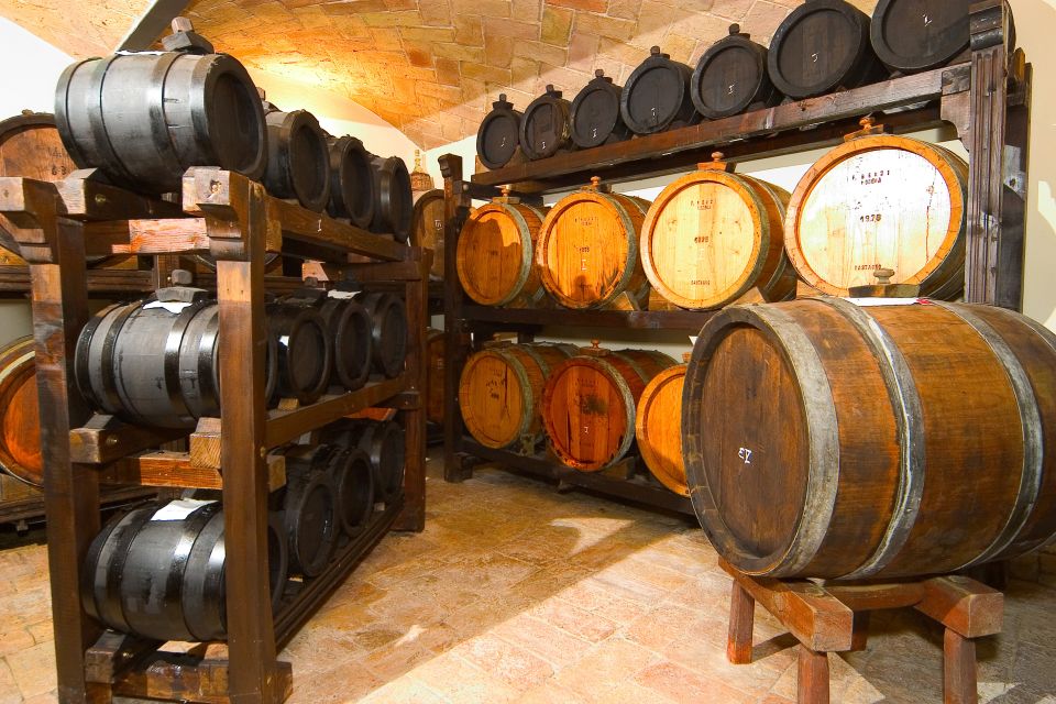 From Bologna: Emilia Excellence Food Tour - Balsamic Vinegar and Wine