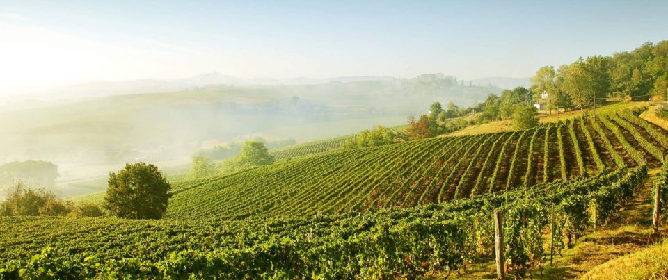 From Bologna or Modena: Chianti Experience With Lunch - Directions