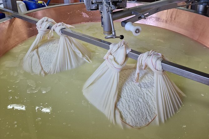 From Bologna: Parmesan Cheese & Balsamic Vinegar Tour+Lunch - Pickup Information