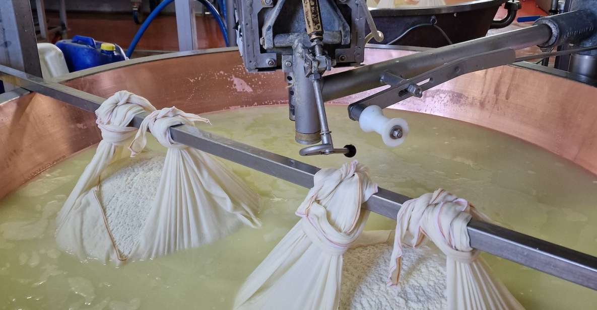 From Bologna: Parmesan, Vinegar, Lambrusco With Transfer - Winery Tour and Tasting
