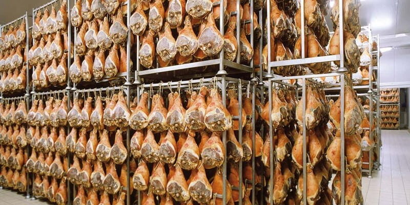 From Bologna: Parmesan, Wine, and Prosciutto Tour - Who Should Consider This Tour?