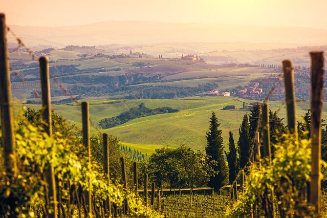 From Bologna: Verona and Valpolicella Day Tour - Wine Tasting Experience