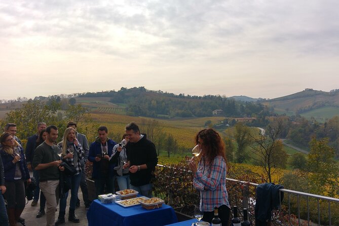 From Bologna: Wine Tasting and Vineyard Tour With the Winemaker - Wines Offered for Tasting