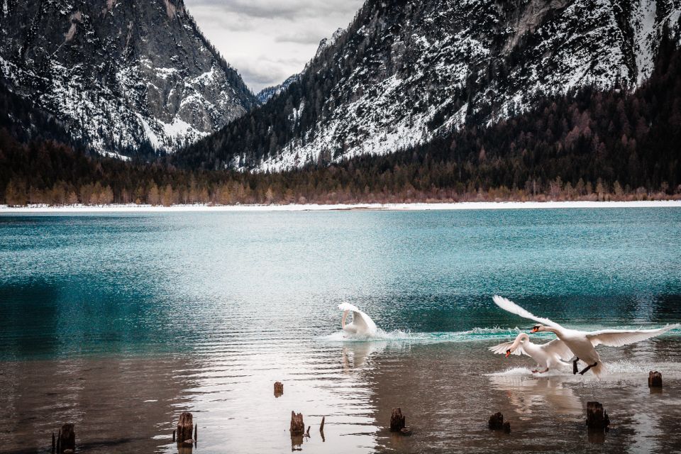 From Bolzano: The Heart of the Dolomites Private Tour by Car - Tour Description