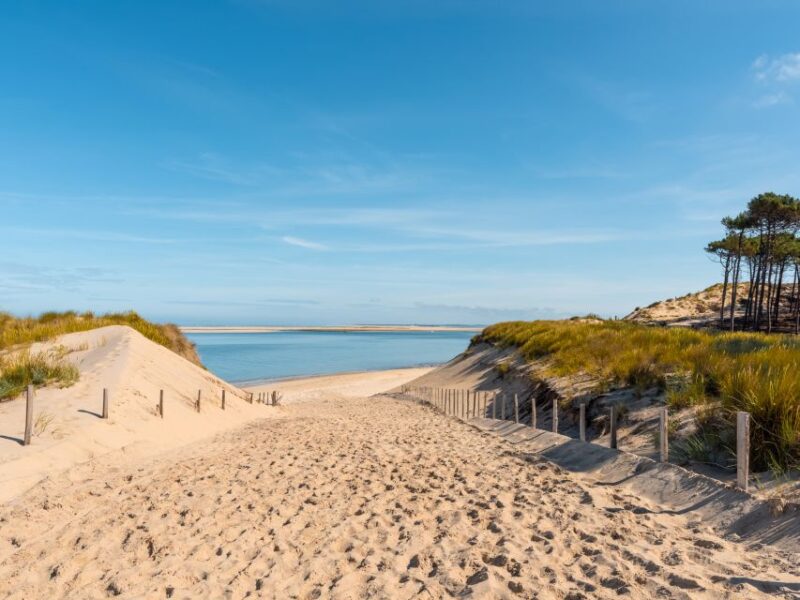 From Bordeaux: Arcachon and Pilat Dune Private Tour - Included Services