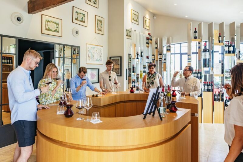From Bordeaux: Half-Day Saint-Émilion Tour and Wine Tasting - Wine Tasting Experience