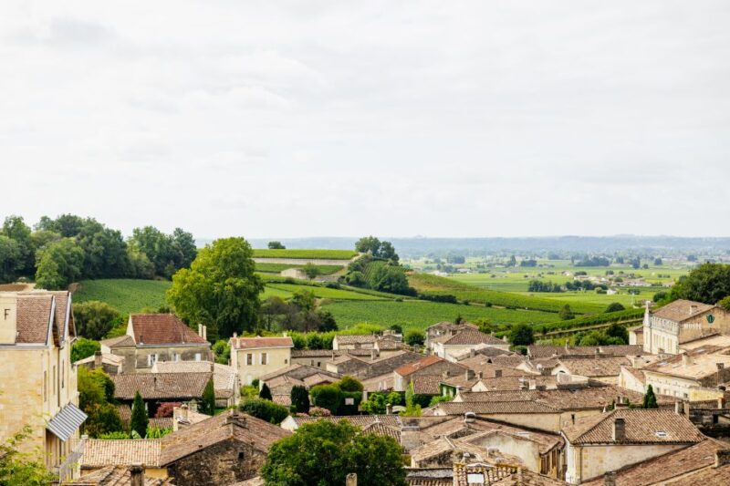 From Bordeaux: Half-Day Saint-Émilion Tour and Wine Tasting - Inclusions and Exclusions