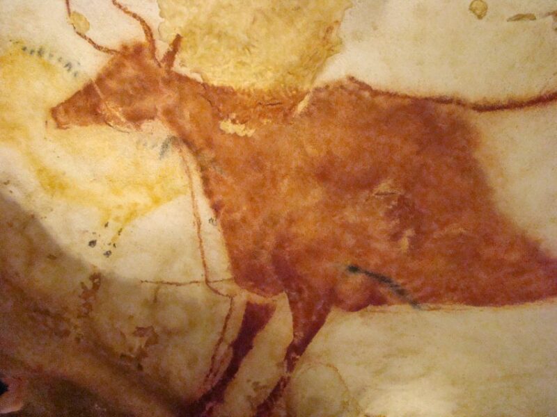 From Bordeaux: Lascaux and Dordogne Valley Private Tour - Scenic Experience