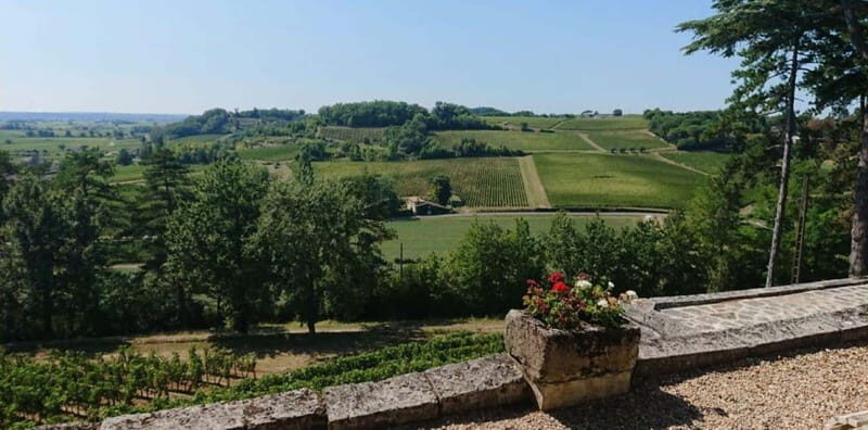 From Bordeaux: Private Tour in the Chateaux of Saint-Émilion - Key Points