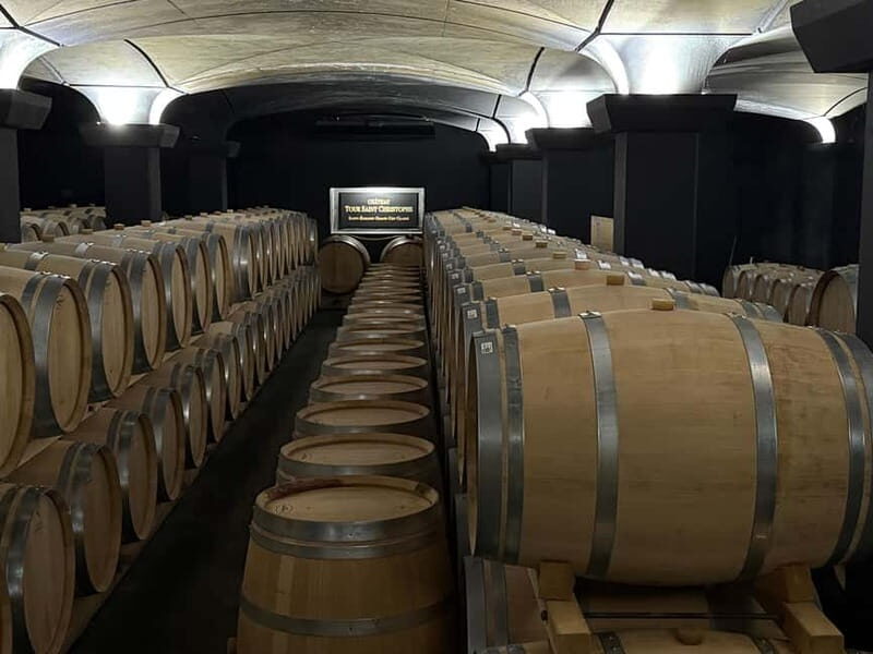 From Bordeaux: Private Tour in the Chateaux of Saint-Émilion - Who Should Book This Tour?
