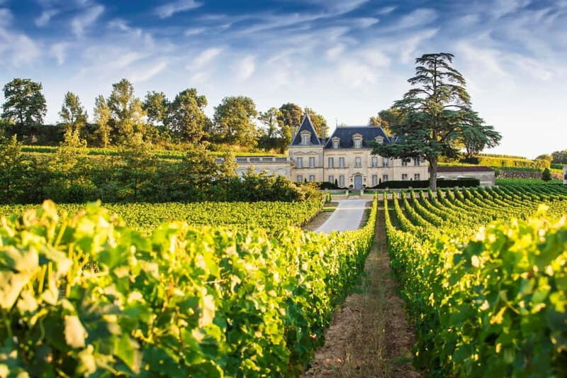 From Bordeaux: Private Wine Tour to Saint-Émilion - An Overview of the Saint-Émilion Private Tour