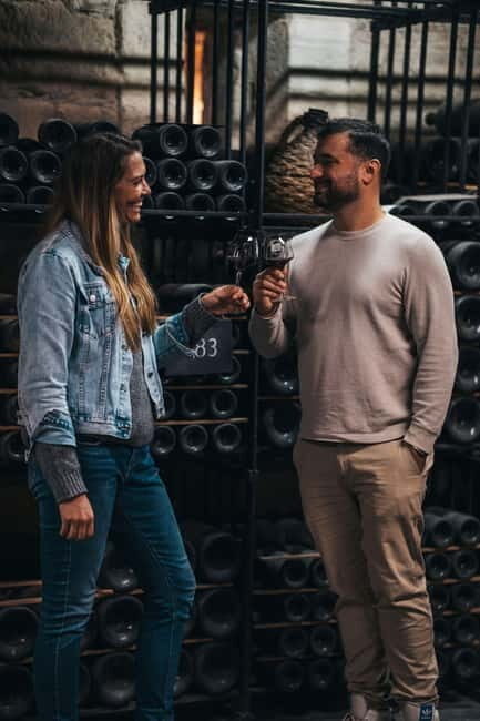 From Bordeaux: Private Wine Tour to Saint-Émilion - Who Should Consider This Tour?
