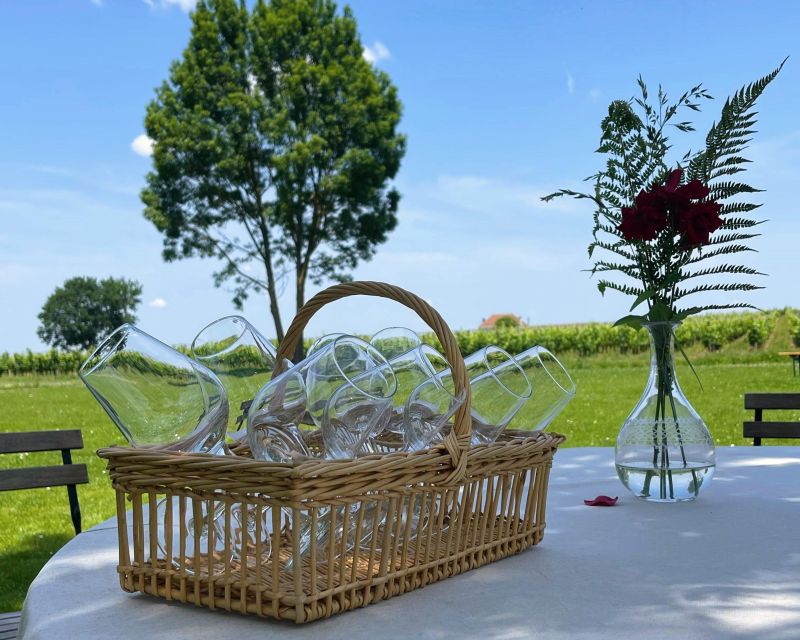 From Bordeaux: Saint-Emilion Day Trip With Lunch and Wine - Itinerary and Highlights