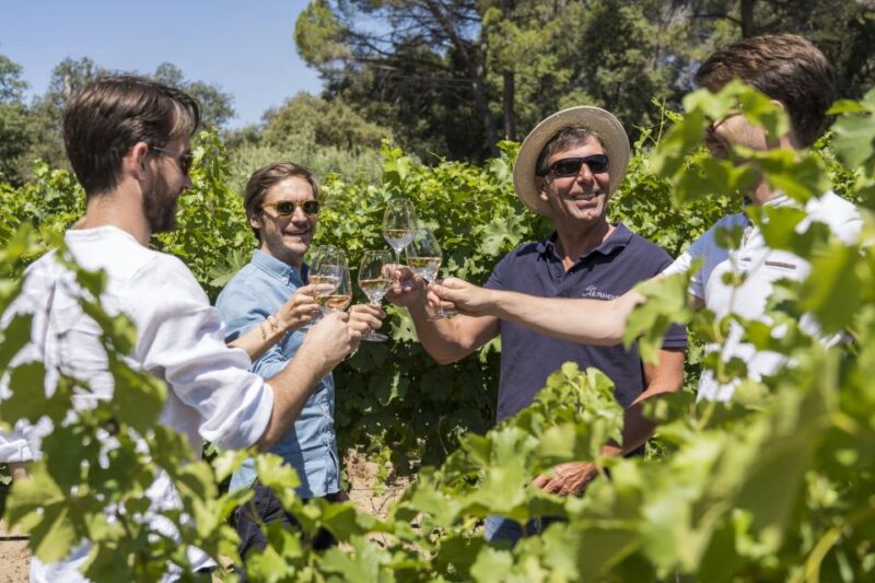 From Bordeaux: Saint-Emilion Day Trip With Lunch and Wine - Wine Tasting Experience