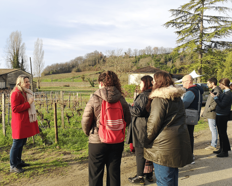 From Bordeaux: Saint-Émilion Half-Day Tour With Wine Tasting - Itinerary and Highlights