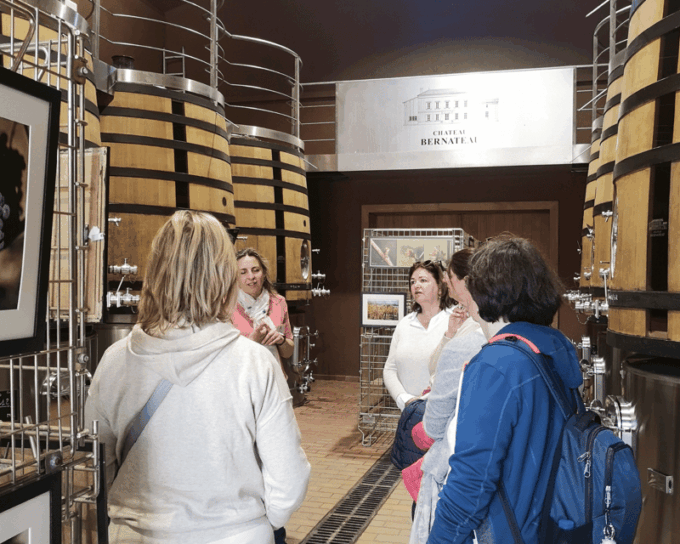 From Bordeaux: Saint-Émilion Half-Day Tour With Wine Tasting - Ask Away