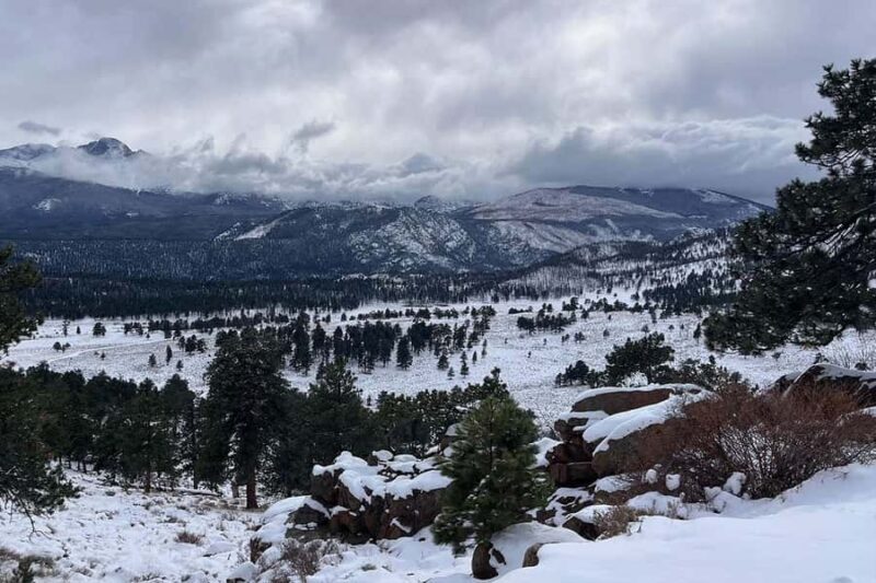 From Boulder or Denver: Rocky Mountain National Park Tour - The Guides: Knowledge and Personality Matter