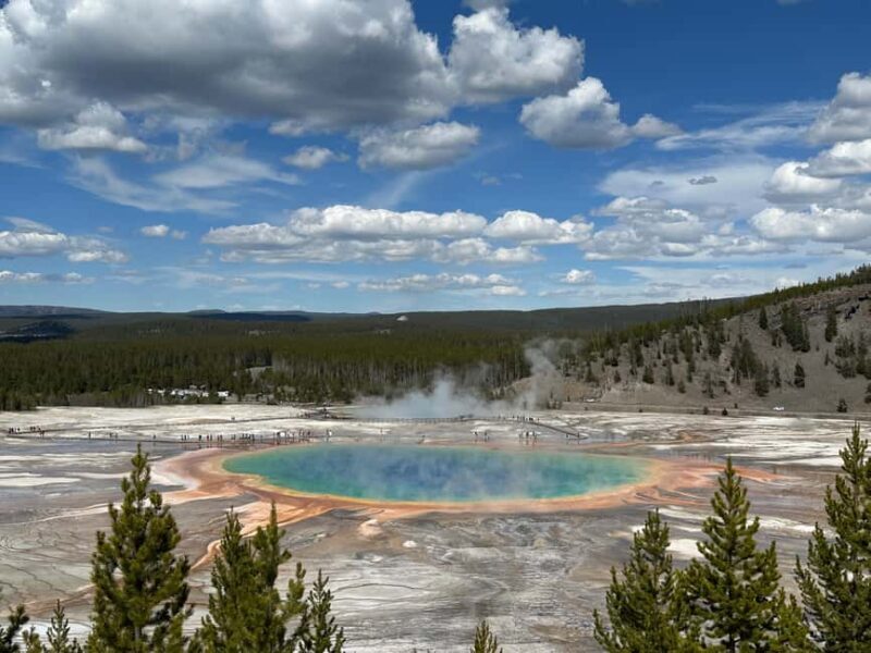 From Bozeman: Yellowstone Day Tour (Lower Loop) - Key Points