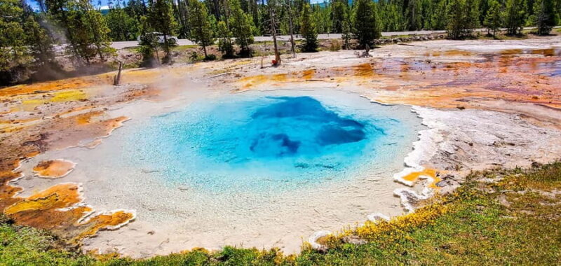 From Bozeman: Yellowstone Day Tour (Lower Loop) - Exploring Yellowstone on a Single Day