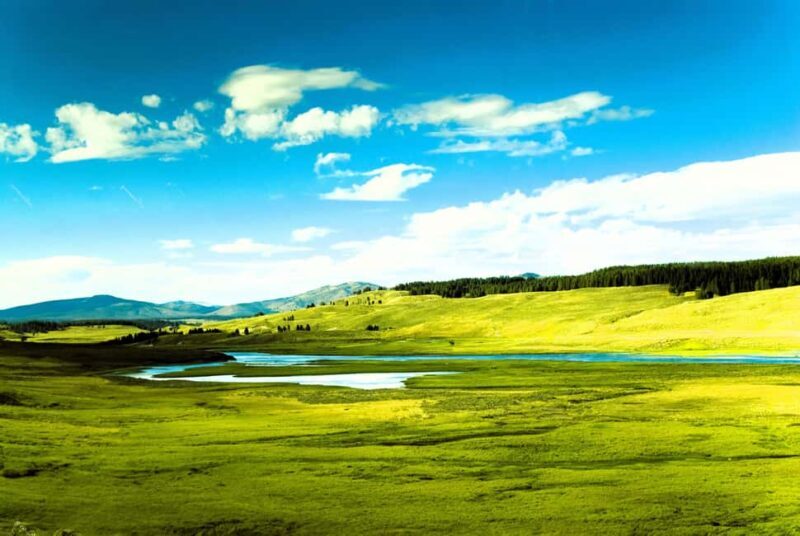 From Bozeman: Yellowstone Day Tour (Upper Loop) - A Deep Dive into the Yellowstone Upper Loop Tour