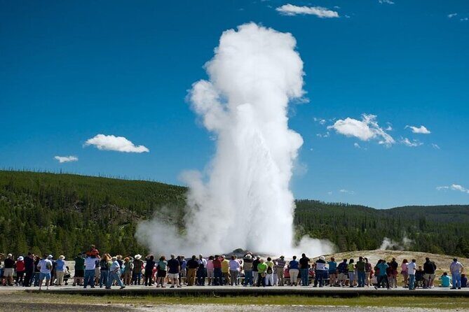 From Bozeman Yellowstone Full Day Tour Lower Loop - A Detailed Look at the Yellowstone Experience