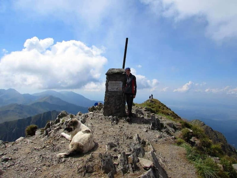 From Braov: 3-Day Fgra Mountains Hiking Adventure - The Experience: What You Can Expect