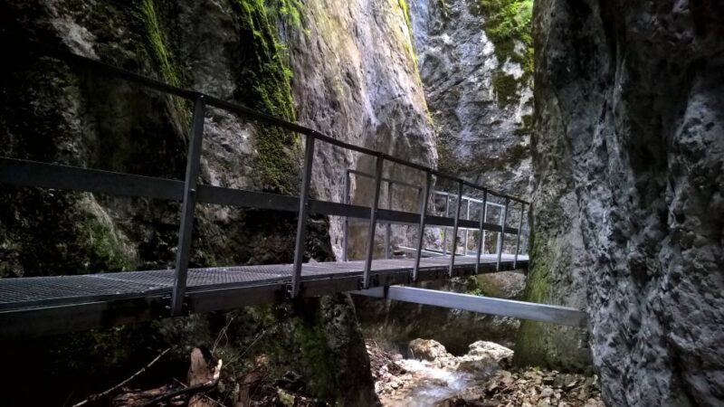 From Brasov: Day Trip to the Seven Ladders Canyon - Itinerary Details