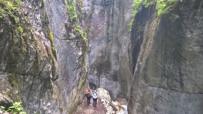 From Brasov: Day Trip to the Seven Ladders Canyon - Inclusions of the Trip