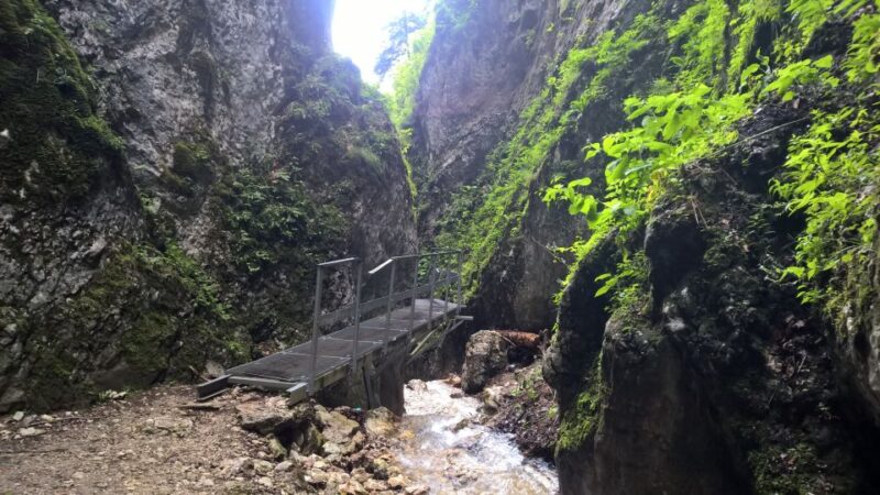 From Brasov: Day Trip to the Seven Ladders Canyon - Requirements and Restrictions