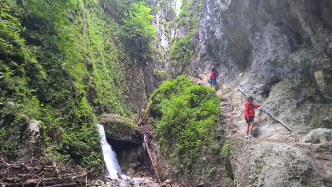 From Brasov: Day Trip to the Seven Ladders Canyon - Customer Feedback