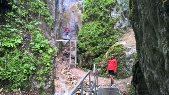 From Brasov: Day Trip to the Seven Ladders Canyon - Preparing for Your Adventure