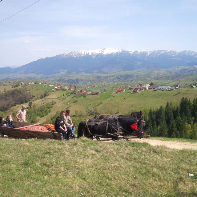 From Brașov: Half or Full Day Transylvania Jeep Tour - Good To Know