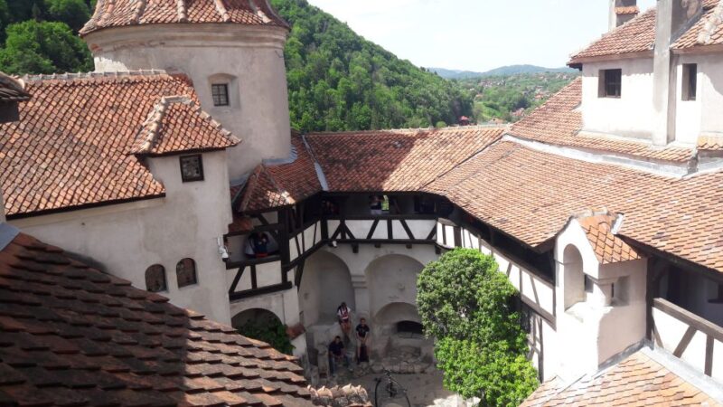 From Brasov: Peles Castle, Bran Castle & Cantacuzino Castle - Good To Know