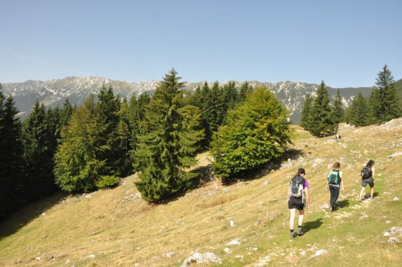 From Brasov: Piatra Craiului National Park Private Day Tour - Tour Overview