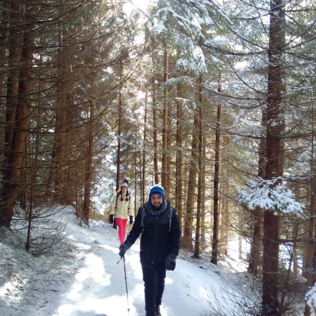 From Brasov: Piatra Craiului National Park Private Day Tour - Hiking Experience