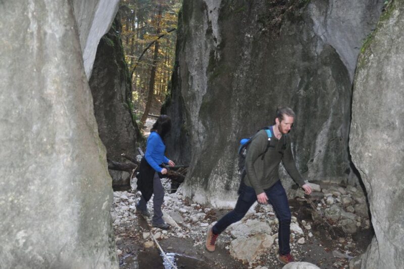 From Brasov: Piatra Craiului National Park Private Day Tour - Inclusions and Exclusions
