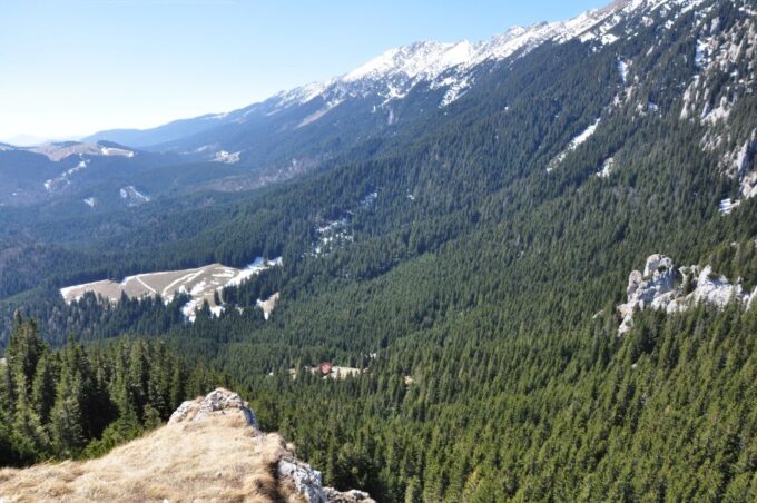 From Brasov: Piatra Craiului National Park Private Day Tour - Customer Feedback