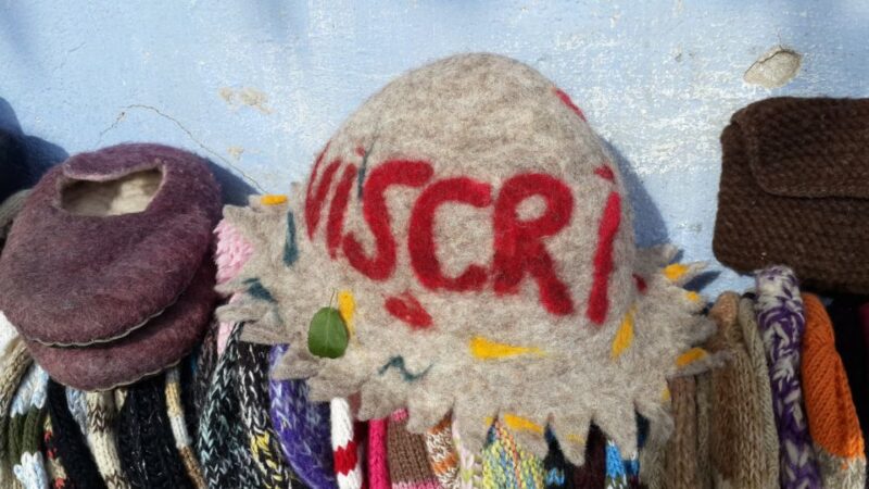 From Brasov: Sighisoara and Viscri UNESCO Day Tour - Good To Know