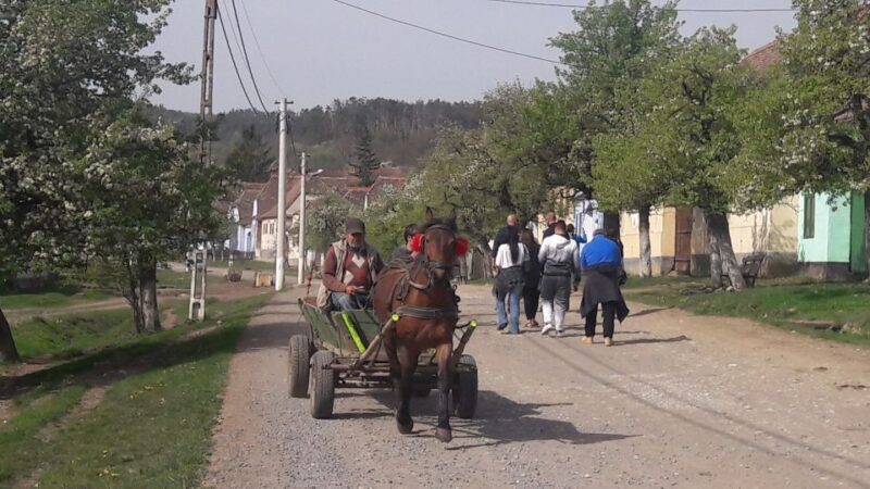 From Brasov: Sighisoara, Viscri, and Rupea Unesco Day Trip - Final Thoughts: Is This Tour Right for You?