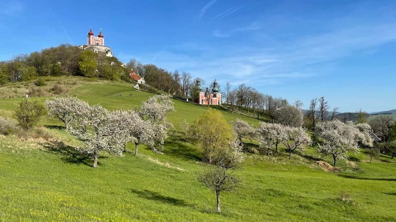 From Bratislava: Day Trip to UNESCO Town of Banská tiavnica - A Detailed Look at the Tour Experience  